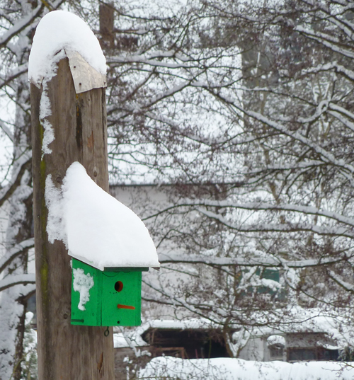 christmas10birdhouse